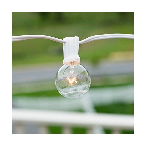 Rope Light CLEAR - for Indoor and Outdoor use 24 Feet (7.3 m) - 10MM  Diameter - 288 CLEAR Incandescent Long Life Bulbs Rope Lights